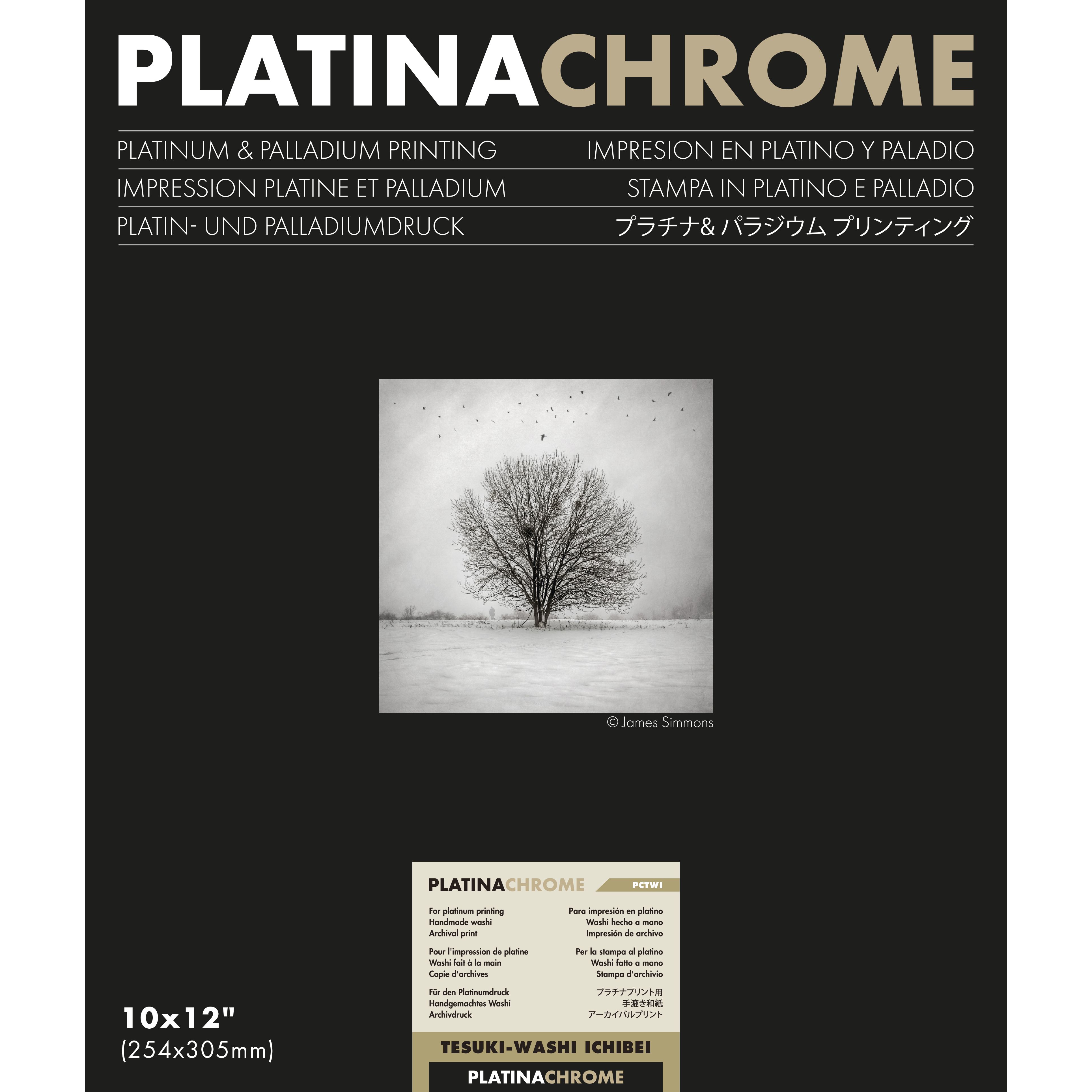 ILFORD MONOCHROME PLATINACHROME TESUKI-WASHI ICHIBEI 20,3X25,4 10 F